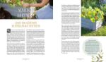 Bild von Strassmair S: Die Magie der Natur:Hexenkräuter im Hochbeet
