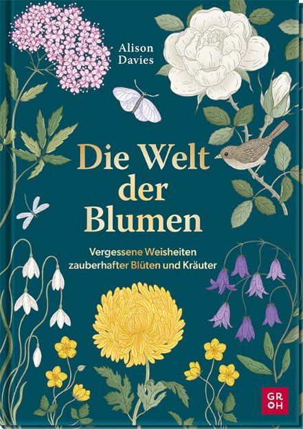Bild von Die Welt der Blumen