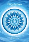 Bild von Steidl, Susanne: Chakra-Energie - Kartenset
