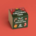 Bild von Christmas tree growing kit (english)