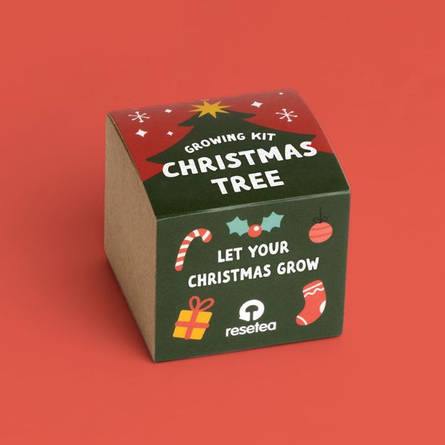 Bild von Christmas tree growing kit (english)