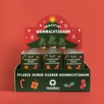 Bild von Display Anzuchtset Weihnachtsbaum (24pcs)