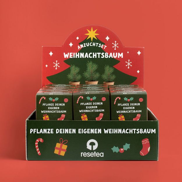 Bild von Display Anzuchtset Weihnachtsbaum (24pcs)