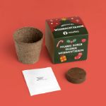 Bild von Display Anzuchtset Weihnachtsbaum (24pcs)