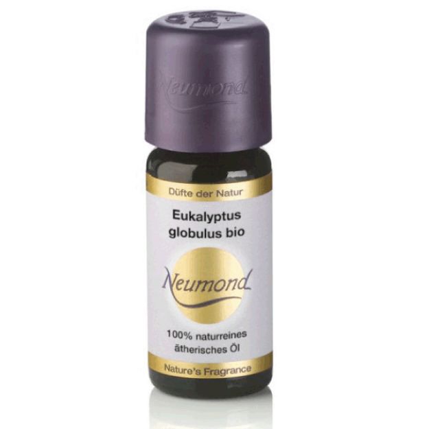 Bild von Eukalyptus globulus 10ml BIO, ätherisches Öl