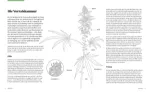 Bild von MUNCHIES: High Cuisine – Cannabis kannwas! Kochen & Backen mit THC, CBD und m