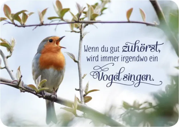 Bild von Wenn du gut zuhörst, wird immer irgendwoein Vogel singen 10 Ex.