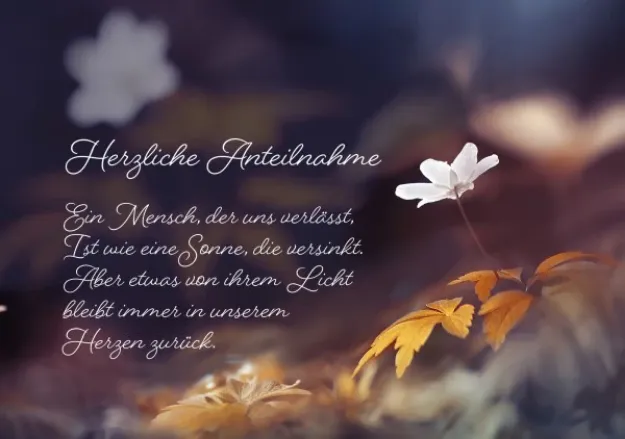 Bild von Herzliche Anteilnahme 6 Ex.