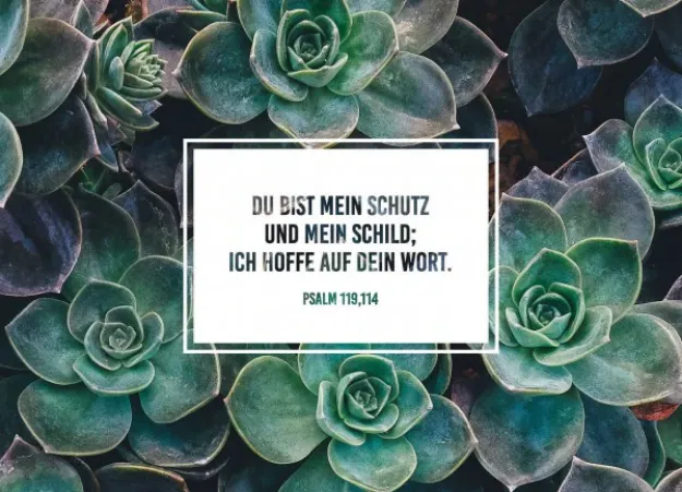 Bild von Brunnen Faltkarte Du bist mein Schutzund mein Schild 6 Ex.