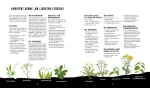 Bild von Naturensöhne: Outdoor Kochen – OhneStrom und ohne Schnickschnack mit den N
