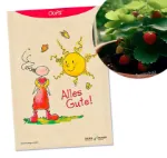 Bild von Hörtenhuber Kurt: Oups Samenpackung -BIO Monatserdbeeren ‚Rügen‘