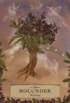 Bild von Ayales, Adriana: Herbal Astrology Orakel