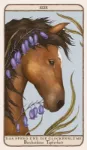Bild von Roux, Jessica: Woodland Wardens
