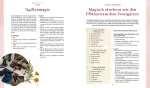 Bild von Winter M: Magie im Hexengarten –Gärtnern mit grüner Magie