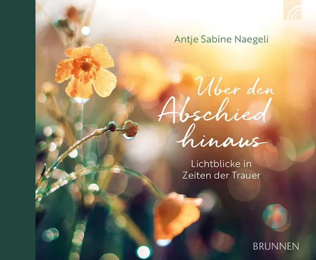 Bild von Naegeli A: Über den Abschied hinaus