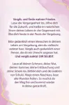 Bild von Kuhn Shimu, Sandy Taikyu: Achtsame Rauhnächte - Die Magie der 12 Heiligen Nächte