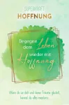 Bild von Hühn, Susanne: Dein Innerer Teenager - Das Feuer der Jugend spielerisch neu entf
