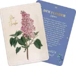Bild von Die geheimnisvolle Sprache der Blumen - 50 Orakelkarten für das ganze Jahr