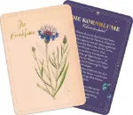 Bild von Die geheimnisvolle Sprache der Blumen - 50 Orakelkarten für das ganze Jahr