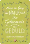 Bild von Lebe wild und voller Wunder - 50 Inspirationskarten aus der Natur