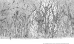 Bild von Hawker, Luke Adam: Der letzte Baum