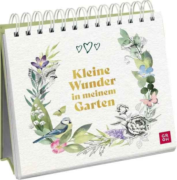 Bild von Kleine Wunder in meinem Garten