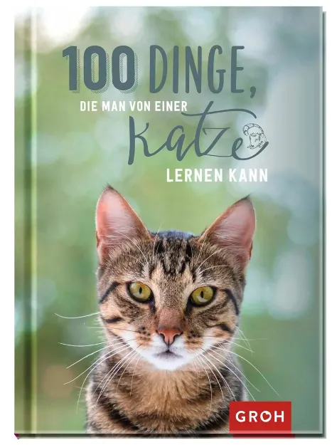 Bild von 100 Dinge, die man von einer Katze lernen kann