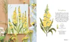 Bild von Hegde S: Wildflower Watercolor –Blumen-Aquarelle malen