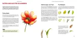 Bild von Wissmann V: Mini Watercolor – Blumen