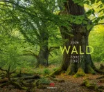 Bild von Wald Kalender 2026
