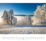 Bild von Wald Kalender 2026