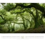 Bild von Wald Kalender 2026