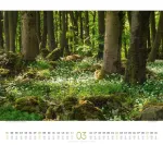 Bild von Wald Kalender 2026