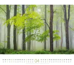 Bild von Wald Kalender 2026
