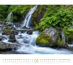 Bild von Wald Kalender 2026
