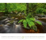 Bild von Wald Kalender 2026