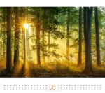 Bild von Wald Kalender 2026
