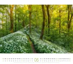 Bild von Wege Kalender 2026