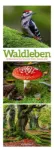 Bild von Waldleben - Ein Spaziergang durch heimische Wälder Triplet-Kalender 2026