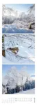 Bild von Waldleben - Ein Spaziergang durch heimische Wälder Triplet-Kalender 2026