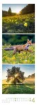 Bild von Waldleben - Ein Spaziergang durch heimische Wälder Triplet-Kalender 2026