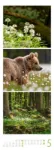 Bild von Waldleben - Ein Spaziergang durch heimische Wälder Triplet-Kalender 2026