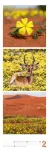 Bild von Nature Triplet-Kalender 2026