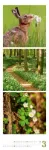 Bild von Nature Triplet-Kalender 2026