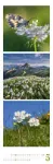 Bild von Nature Triplet-Kalender 2026