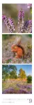 Bild von Nature Triplet-Kalender 2026