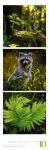 Bild von Nature Triplet-Kalender 2026