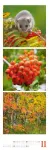 Bild von Nature Triplet-Kalender 2026