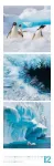 Bild von Nature Triplet-Kalender 2026