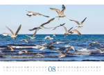Bild von Tage am Meer Kalender 2026
